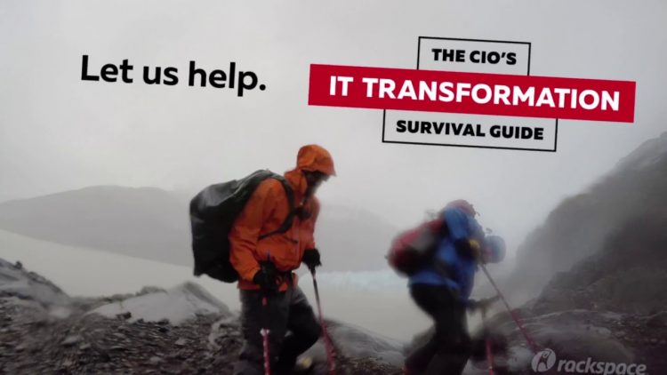 CIO Survival Guide Teaser